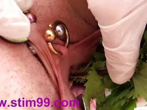 રશિયન કૂતરો સેકસી વી ...